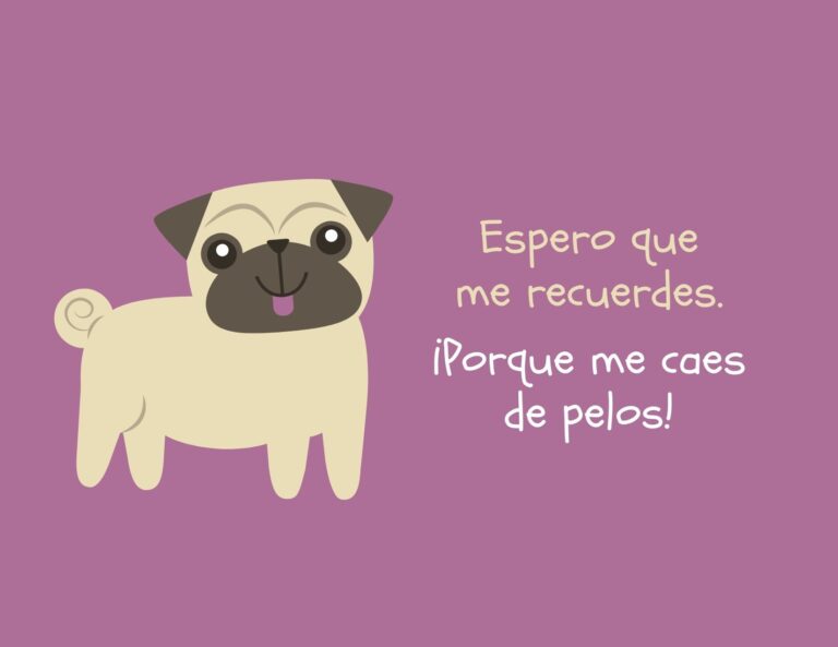 Morado Pug Ilustrado Gracioso Postal